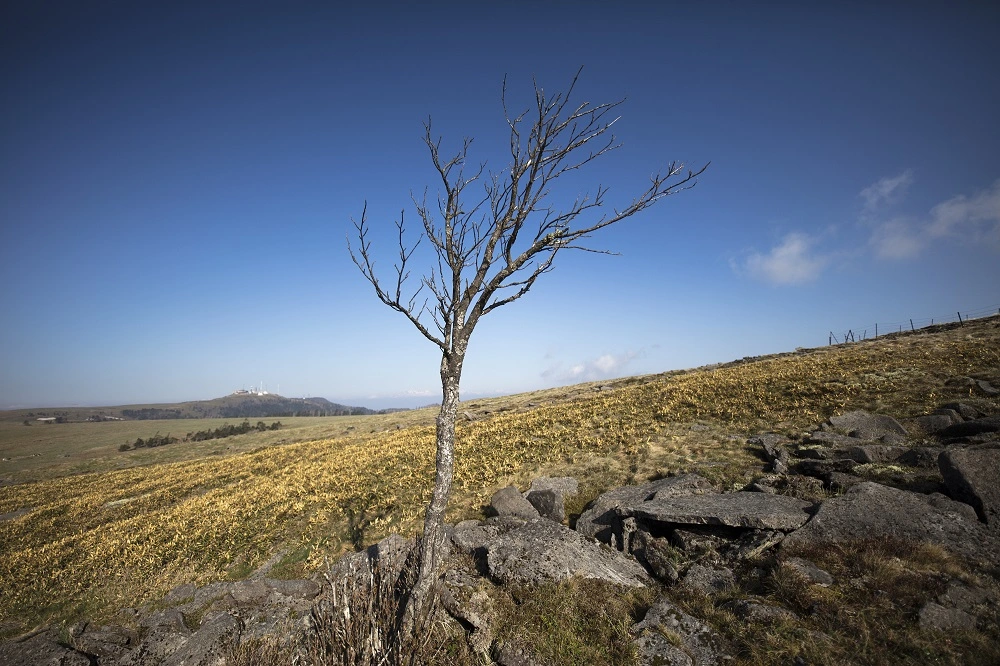 SIGMA 14 mm F1.8 DG HSM